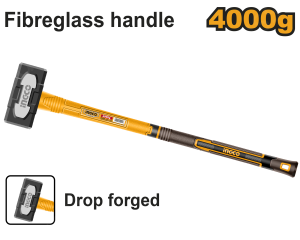 HSTH83498