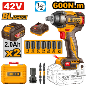 CIWLI42602