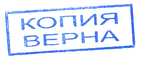 Копия верна