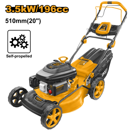 GLM196202