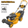 GLM196202