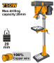 DP207502