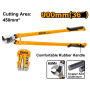 HCCB0136