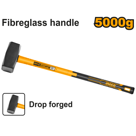 HSTH03598