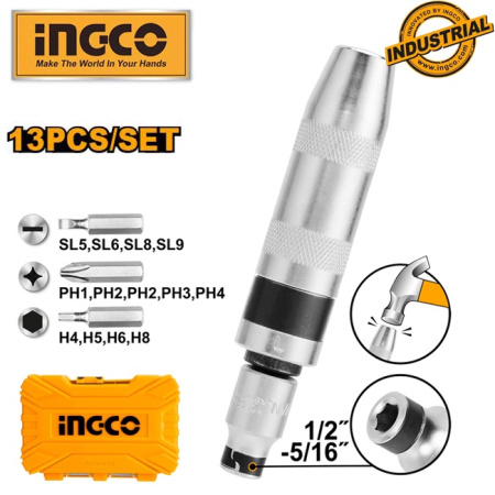 HIDS1301