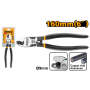 HCCB0206