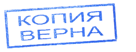 Копия верна